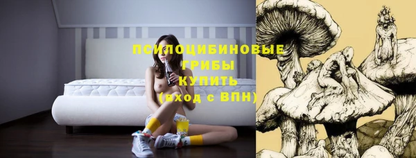 гашиш Абаза
