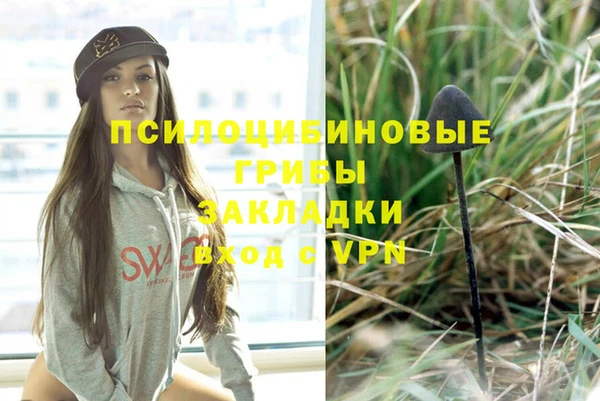 гашиш Абаза