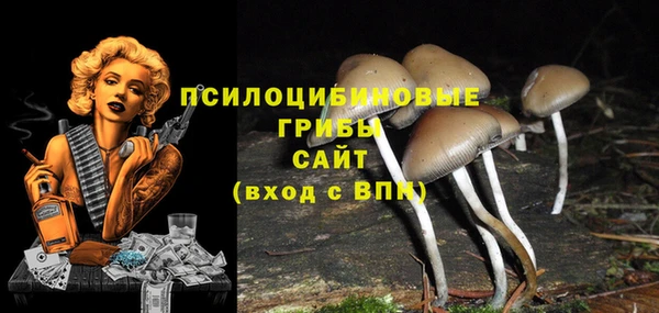 гашиш Абаза